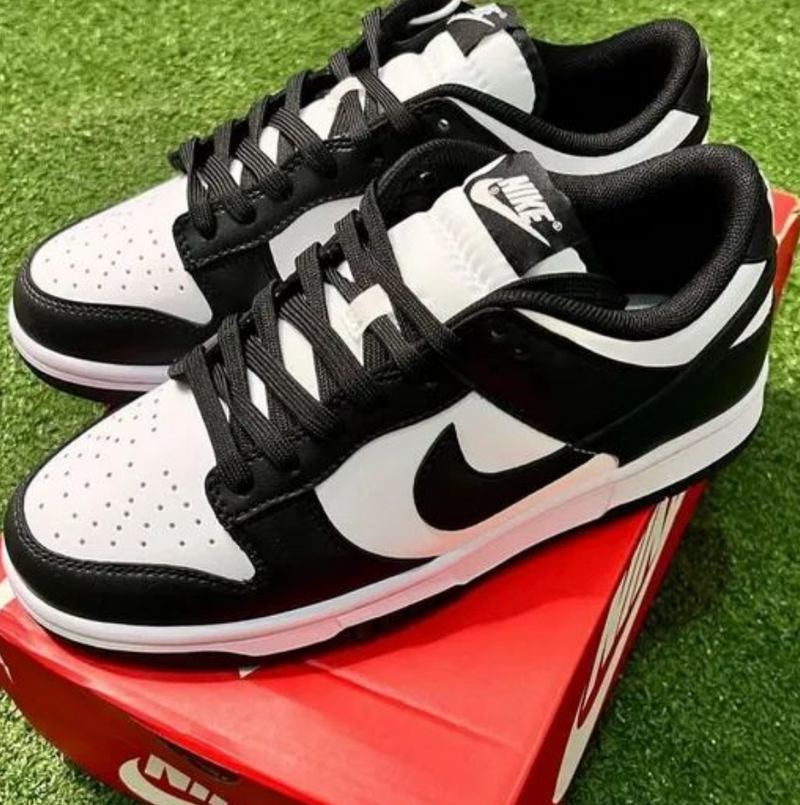 Tênis Dunk Low Pro