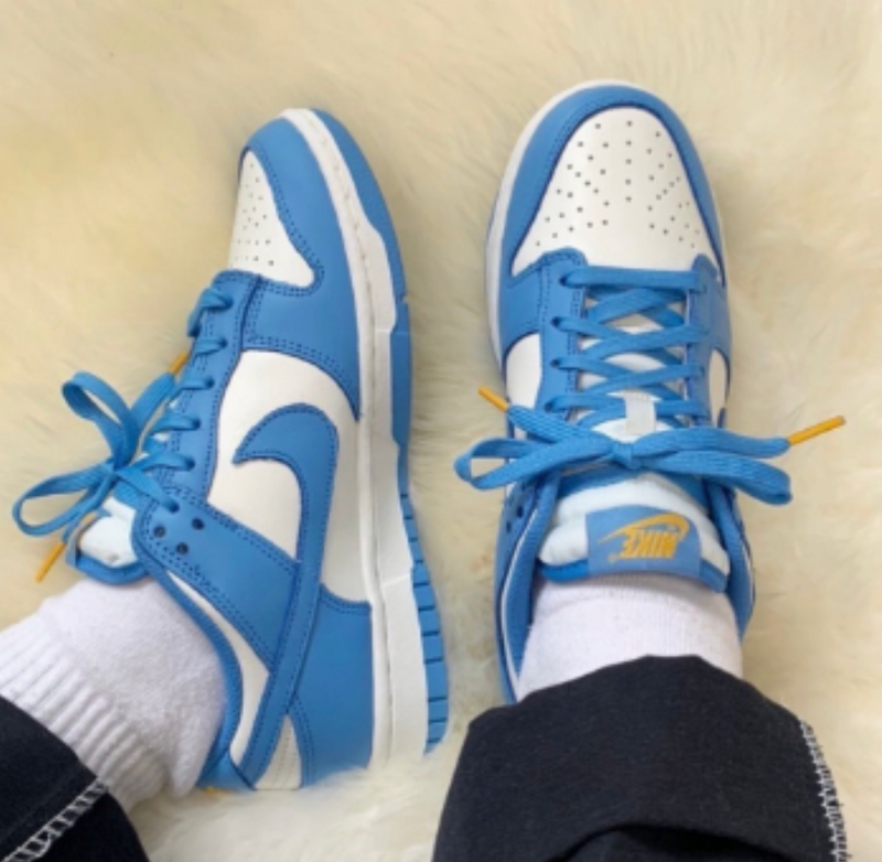 Tênis Dunk Low Pro